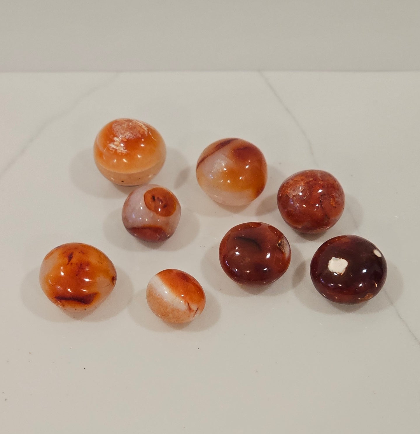 Carnelian Palm